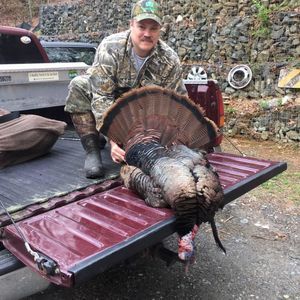 Meet your Posher, Colby